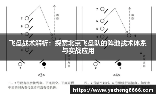 飞盘战术解析：探索北京飞盘队的阵地战术体系与实战应用