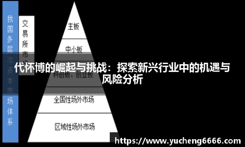 代怀博的崛起与挑战：探索新兴行业中的机遇与风险分析